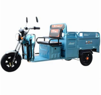 Cargo-carrying electric tricycle