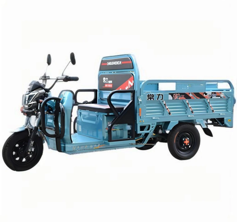 Xe ba bánh điện Sinoswift