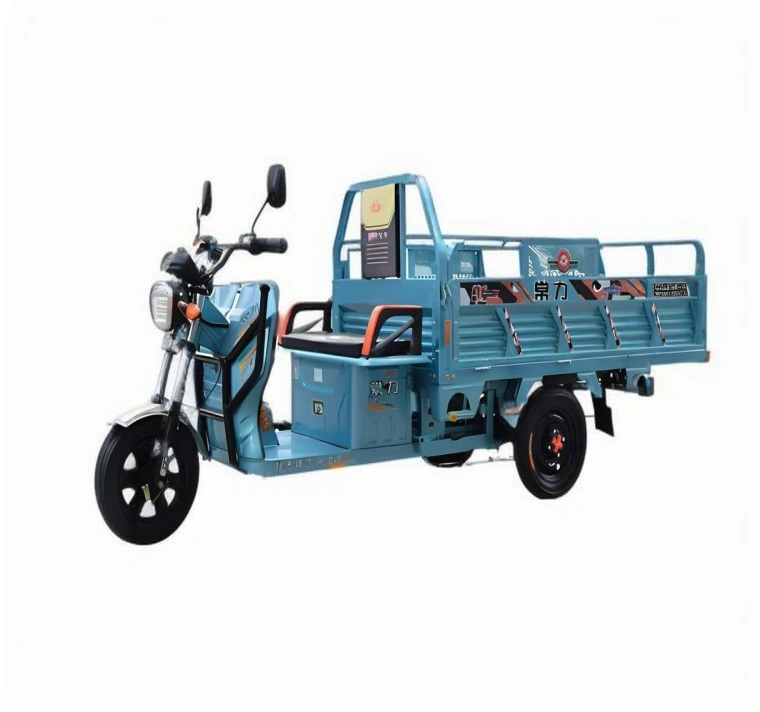 Triciclo elettrico Sinoswift