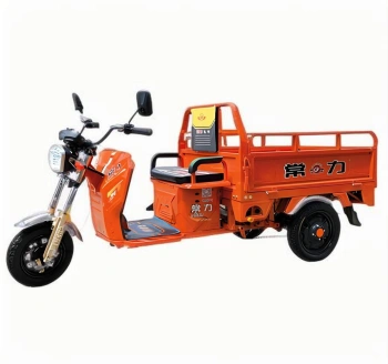 Xe Ba Bánh Điện Chở Hàng C-07