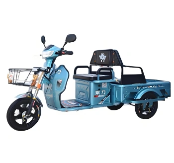 Model 02B Electric Tricycle