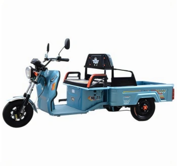 Model 06 Electric Tricycle