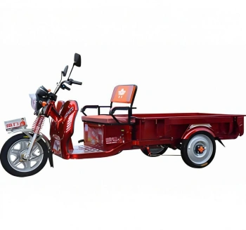  Xe Ba Gác Điện Đầu Wuyang Mẫu 03