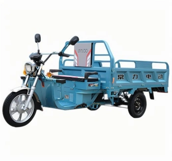 Motocicleta de Carga Eléctrica de Tres Ruedas Modelo 02A
