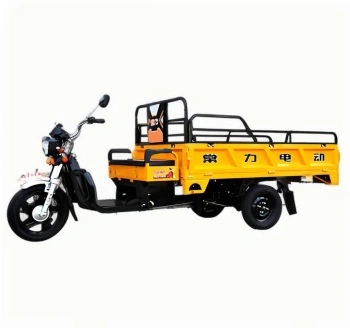 Triciclo de Carga Elétrico 040B 1200W