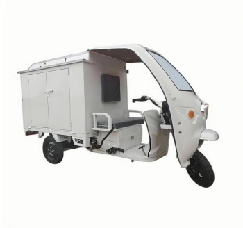 Triciclo Elétrico de Entregas 800W para Cargas