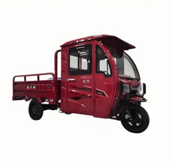 Triciclo Elétrico de Carga Semifechado Monolugar 800W