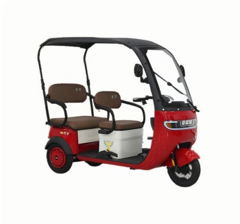 Şehir İçi Keyifli Elektrikli Üç Tekerlekli Bisiklet