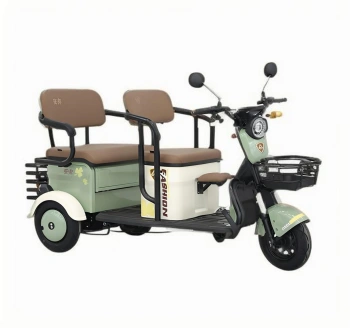 Urban Leisure Elektrikli Üç Tekerlekli Motosiklet