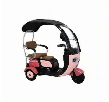 Triciclo Eléctrico Urbano Compacto