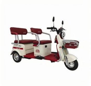 Triciclo Eléctrico de Ocio Urbano