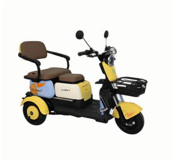 Compact Urban Electric Leisure Tricycle