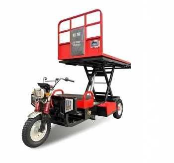 Professional Lifting Electric Tricycle with Built-in Weighing System